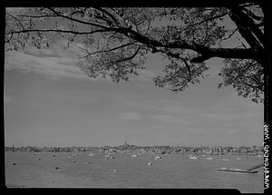 Marblehead, harbor scene from neck