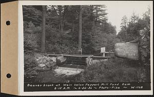 Beaver Brook at weir below Pepper's mill pond dam, Ware, Mass., 8:15 AM, Jun. 26, 1936