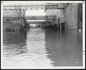 Floods Mass 55