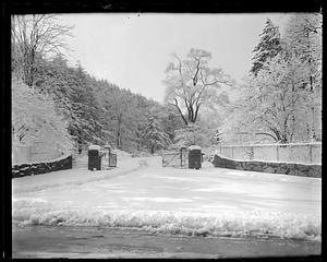 Snow covered gates