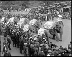 Circus elephants parade in Boston advertising Raymond's.