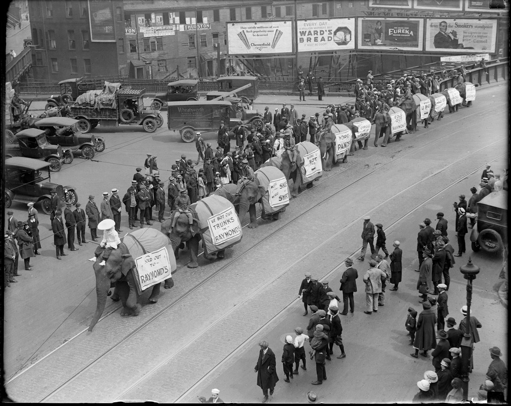 Circus elephants parade in Boston advertising Raymond's.