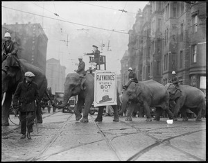 Elephants in parade with sign - Raymond's where U Bot the Hat.