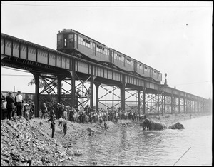 Elephants bathing salt water. First time elephants ever went swimming in salt water in Boston, Charlestown-Everett.