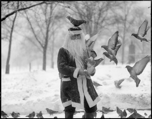 Pigeons on Santa.