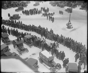 Dog race in N.H.