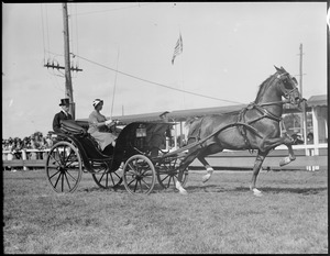 Oxford Leopard owned by Emile Philip [Schnider], heavy harness horse was 1st in class & at Brockton Fair