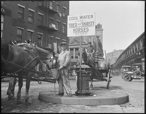 Kind driver lets his horse have a drink at M.S.P.C.A. fountain on Atlantic Ave.