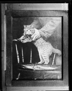 Jesse Pomeroy escape attempt