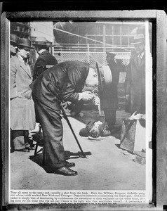 William Simpson dockside gangster