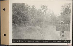 Contract No. 21, Portion of Ware-Belchertown Highway, Ware and Belchertown, land of Henry C. Davis, Plan No. S-4, Belchertown, Mass., Jul. 22, 1931