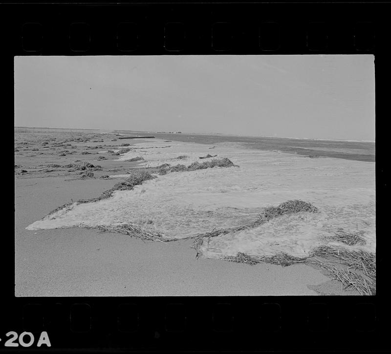 Plum Island erosion Digital Commonwealth