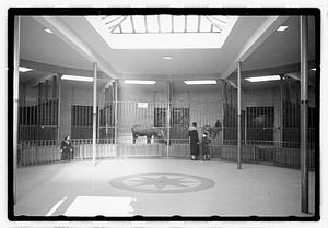 Animals in enclosures including a zebra