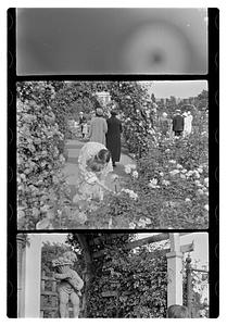 Maude Sanromá and a girl, rose garden