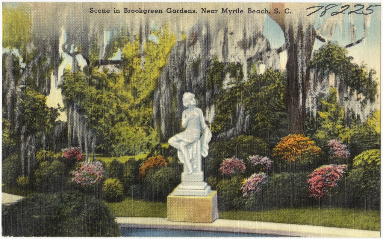 Scene in Brookgreen Gardens, near Myrtle Beach, S. C.