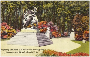 Fighting Stallions at entrance to Brookgreen Gardens, near Myrtle Beach, S. C.