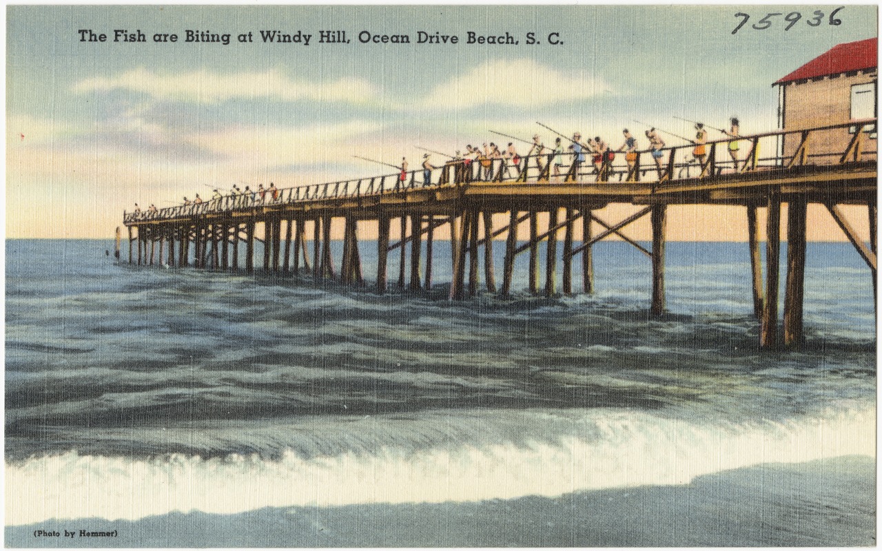 The fish are biting at Windy Hill, Ocean Drive Beach, S. C.