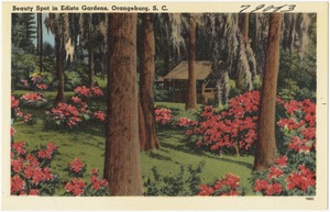 Beauty spot in Edisto Gardens, Orangeburg, S. C.
