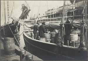 Boston, Massachusetts. Fisherman baiting crawls, T wharf