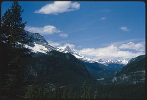 Tree-covered slopes with snow-capped mountains in background, Yoho National Park, British Columbia