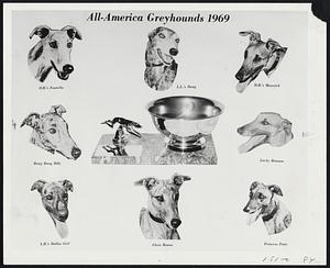 L.L.'s Doug, !retired with the record total of 125 wins male greyhound, was chosen as "captain" of 69 All-America Greyhound Team. The eight pups were chosen from a total of 92 eligible dogs by a panel of 18 greyhound writers in the 7th annual competition.