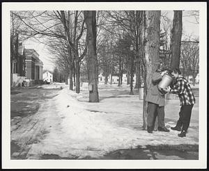 Green Mountain Junior College decided to give its girls a little extra-curricula work in maple-syrup-making recently. First step was to tap some of the maple trees on campus. Here, a couple of new-comers to the maple sugar business take a look and a taste at the sap dripping in the buckets. They are Sharon Ramming (left) of Medina, New York, and Marie Baish, of Patterson, New Jersey.