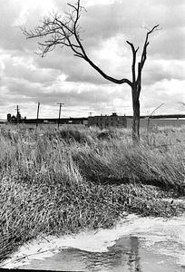 Undeveloped land site of current mall