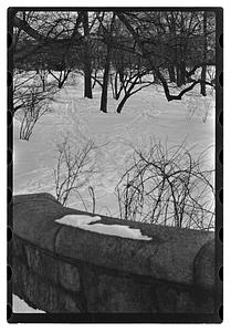 Snow pictures - Fenway