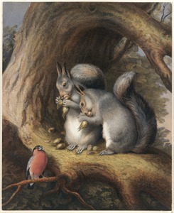 The squirrels and bird under a tree