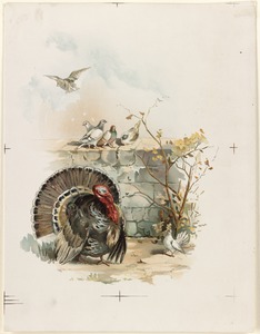 Turkey with pigeons