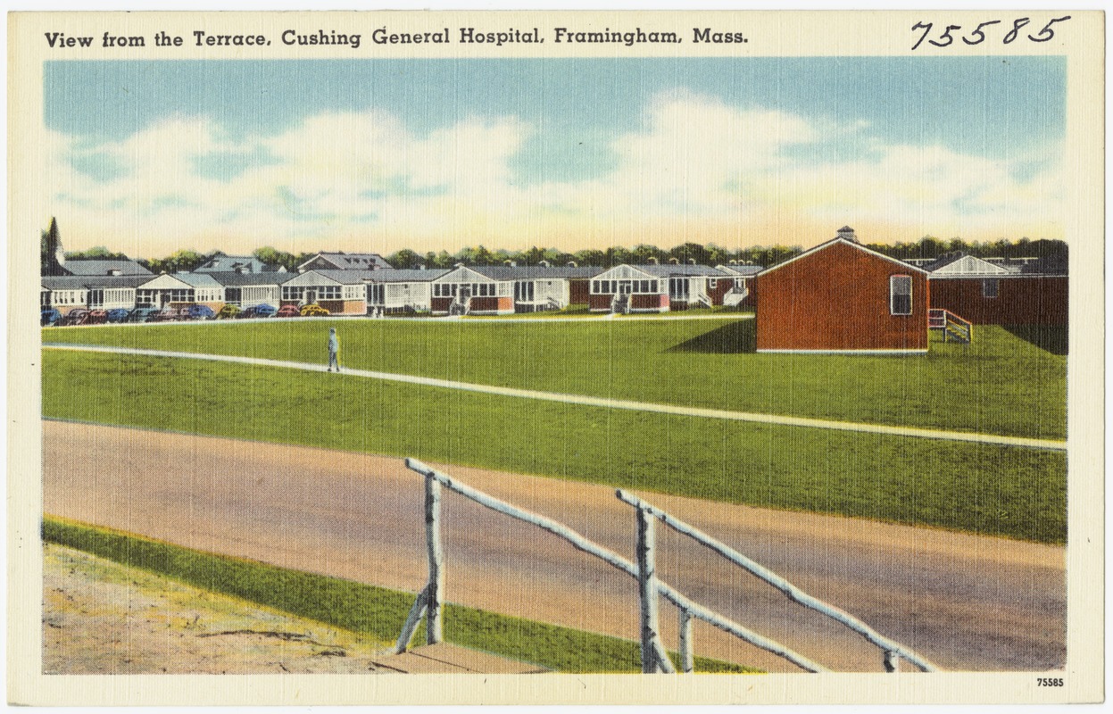 View from the terrace, Cushing General Hospital, Framingham, Mass.