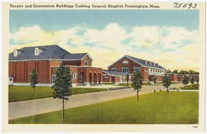 Theatre and gymnasium buildings, Cushing General Hospital, Framingham, Mass.