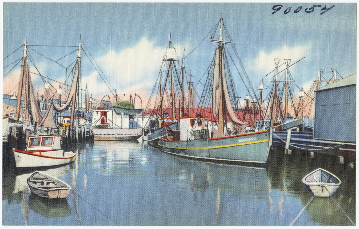 Fishing boats In port, Gloucester, Mass.