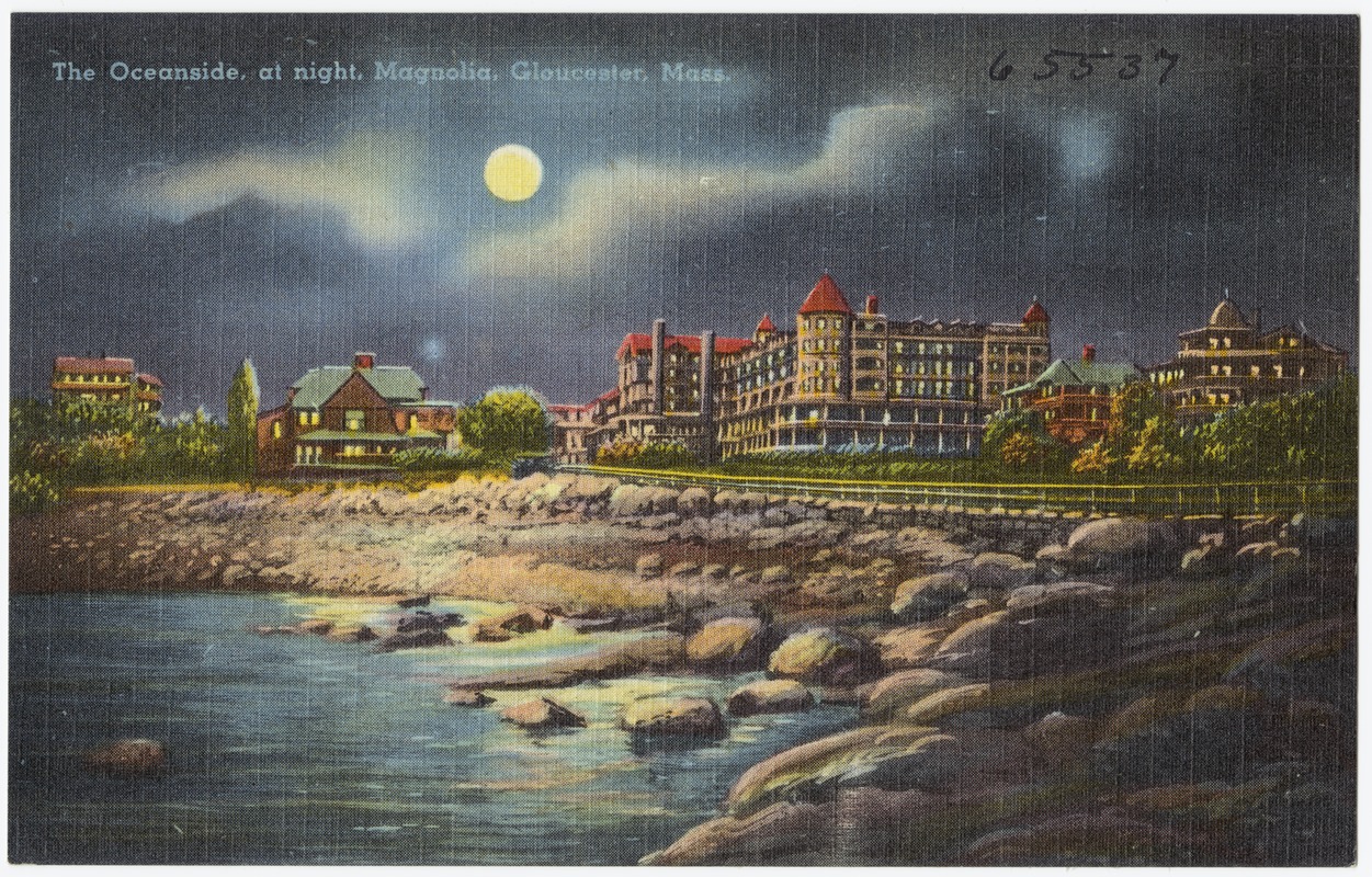 The oceanside at night, Magnolia, Gloucester, Mass.