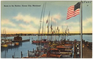 Boats in the harbor, Ocean City, Maryland