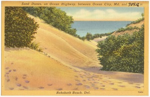Sand dunes, on Ocean Highway, between Ocean City, Md. and Rehoboth Beach. Del.