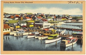Fishing boats, Ocean City, Maryland