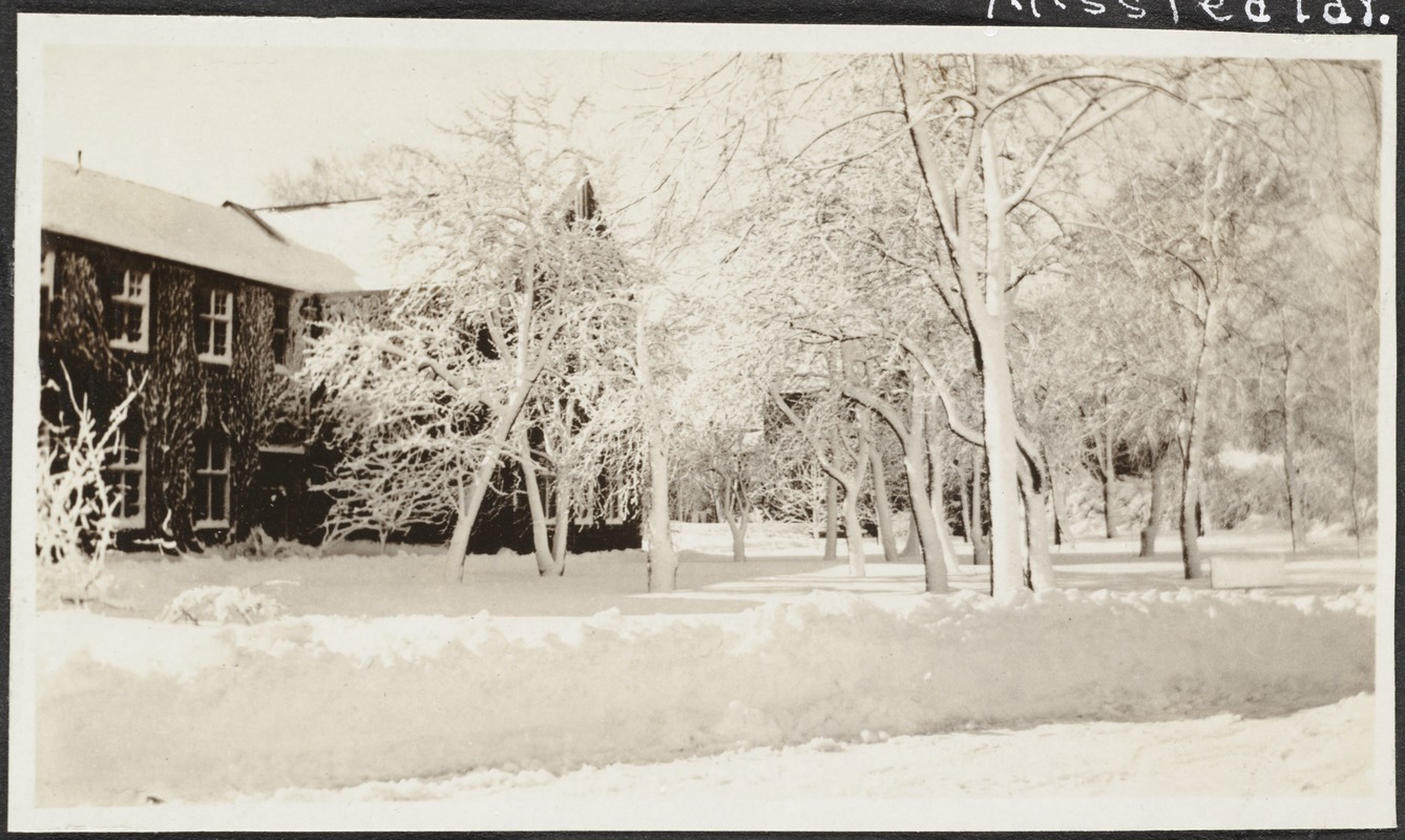 Snow Scene, Perkins Institution