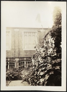 View in Boys' Close, Perkins Institution