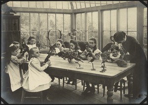 Nature Study Class, The Royal Normal College for the Blind, England