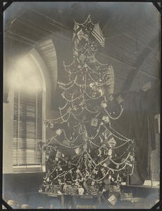 Christmas Tree, The Royal Normal College for the Blind, England