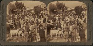 In Sparta - villagers and countrymen on market day - w. through Ares St. to mountains, Greece