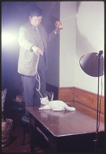 Man playing with cat