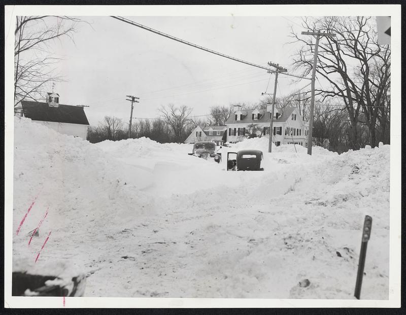 Snow Marshes Are Deep The big