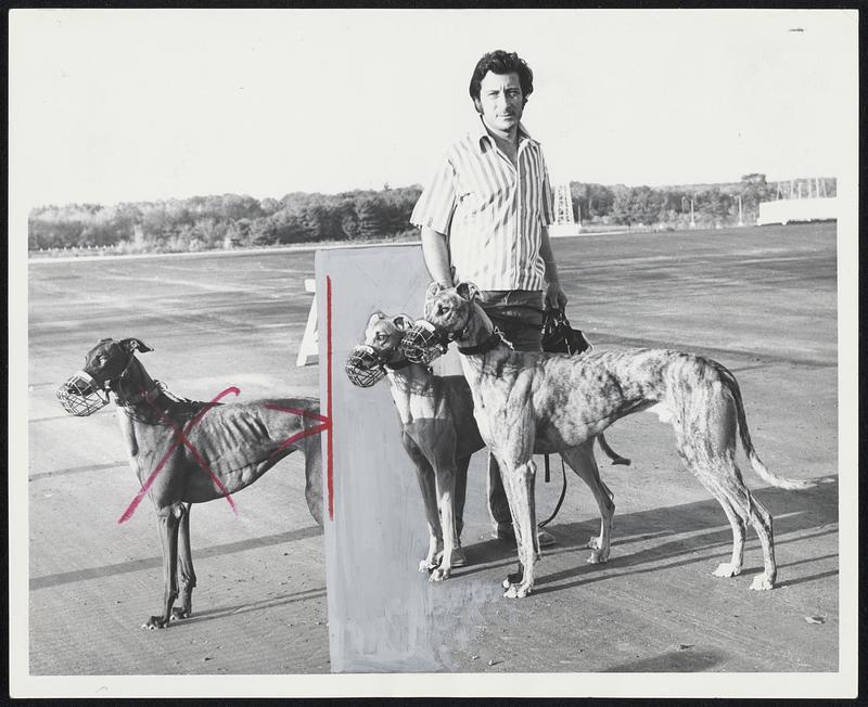 Derby Hopefuls - Trainer Mike Camileri walks Glitter Black (left) and Princess Ilene at Taunton Dog Track where deciding qualifying rounds in $25,000-added American Derby will be held Tuesday.