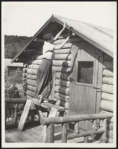 Modern Pioneers Launch Log Cabin Community. Spurred on by economic conditions, eight hardy families; reverting to the pioneer instincts of their fore fathers; have begun a log-cabin cooperative community on the edge of a wilderness that flanks the Daniel Webster Highway in this section. Among the contributing factors which led the twentieth century pioneers to strike out for themselves were high rents; cramped play room for children and lack of farming space. The cabins, built by the settlers themselves at a cost of less than $400; are constructed of pine; with clear maple and white birch flooring. All the timber supply is taken from the surrounding woods. The original cost of the land; about $60 an acre, and materials not available from natural sources constitute the outlay for what members of the community describe as "comfortable homes." Photo Shows: Mrs. Joseph Aubin, 21-year-orld wife of one of the settlers, putting the finishing touches on the cabin where in they are now loving. Here, she is chinking the log structure with moss to keep out the cold and snow-- an important item, since the temperature in this vicinity frequently reaches 45-degrees blow zero, with the snow about seven feet deep.