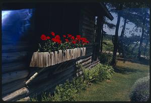 Mrs. Pettie's garden, O.O.B. [Old Orchard Beach], Me.