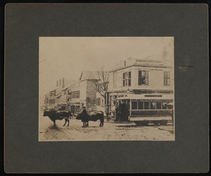 Street Scene with Trolley and Oxen
