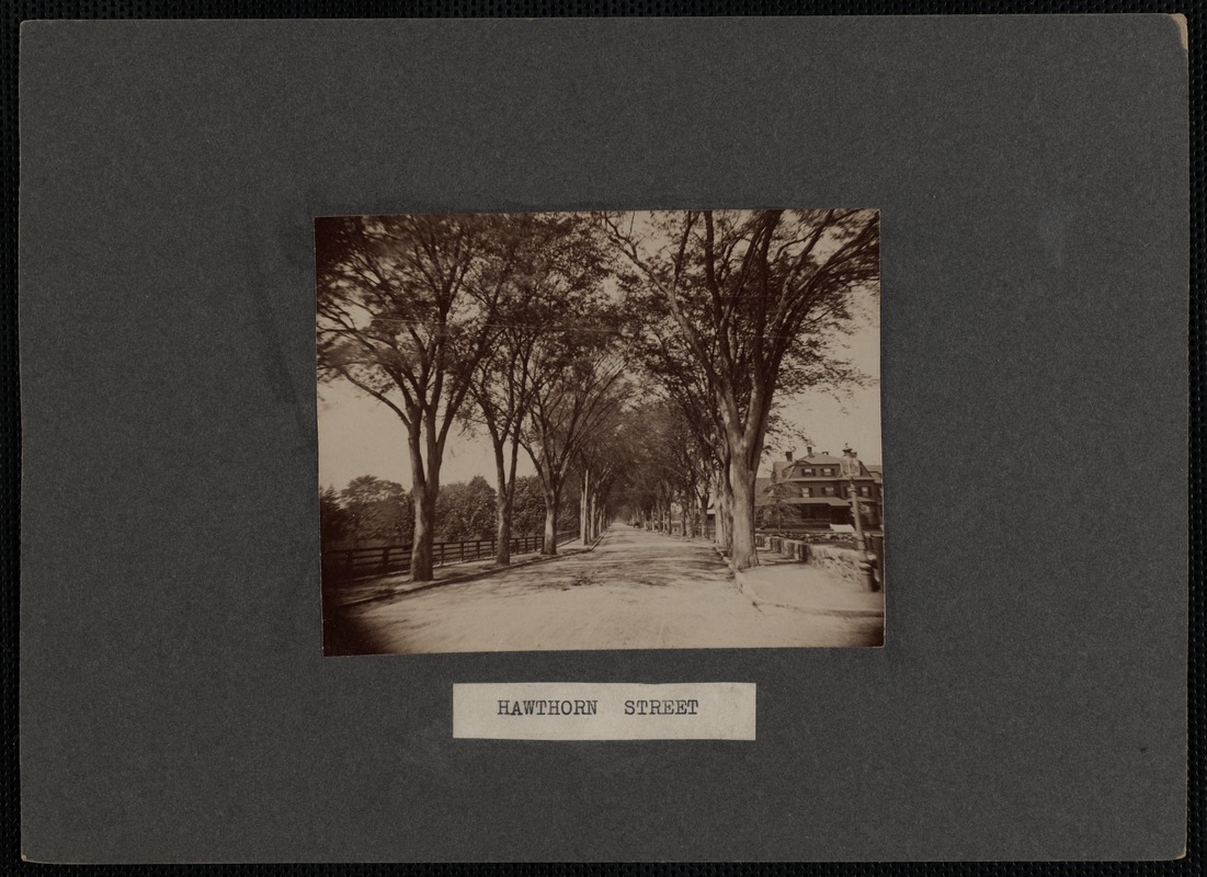 Hawthorn Street, New Bedford