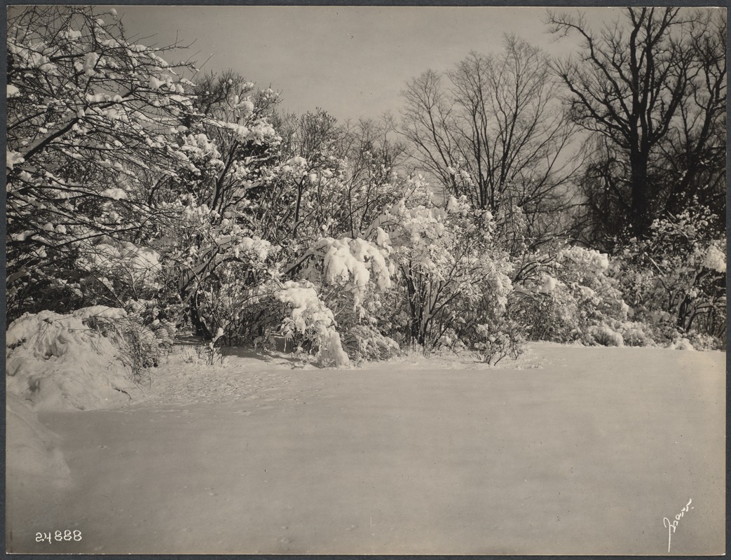 John L. Gardner estate, Warren St.